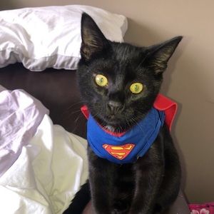 Meet your Posher, Tianna